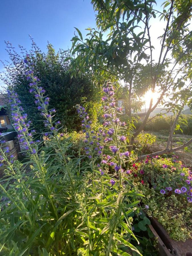 La Maison Du Potager Saint-Racho エクステリア 写真