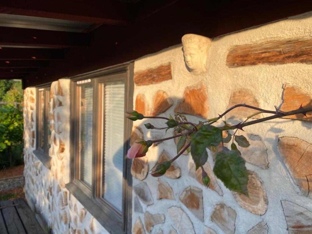 La Maison Du Potager Saint-Racho エクステリア 写真