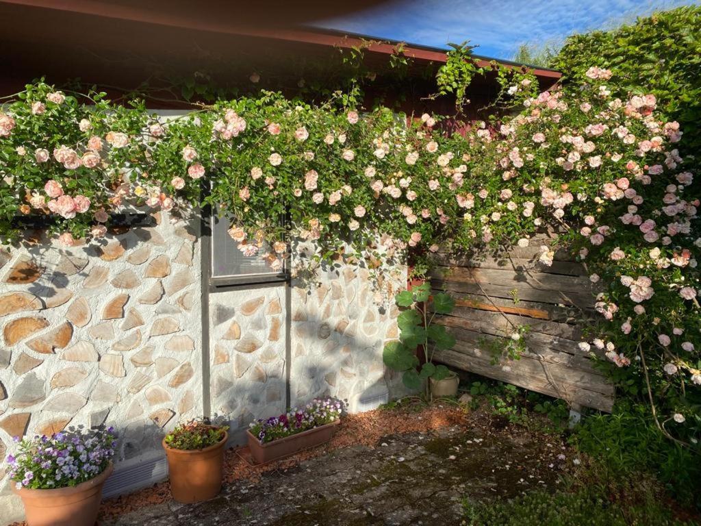 La Maison Du Potager Saint-Racho エクステリア 写真