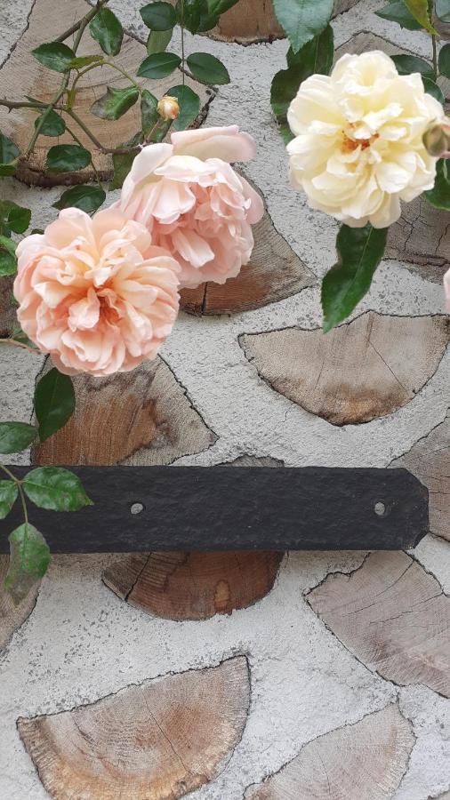 La Maison Du Potager Saint-Racho エクステリア 写真